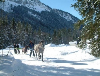 汝拉山脉滑雪之旅 